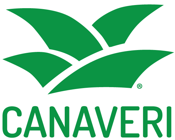 Canaveri - Business Solutions For A Complex World