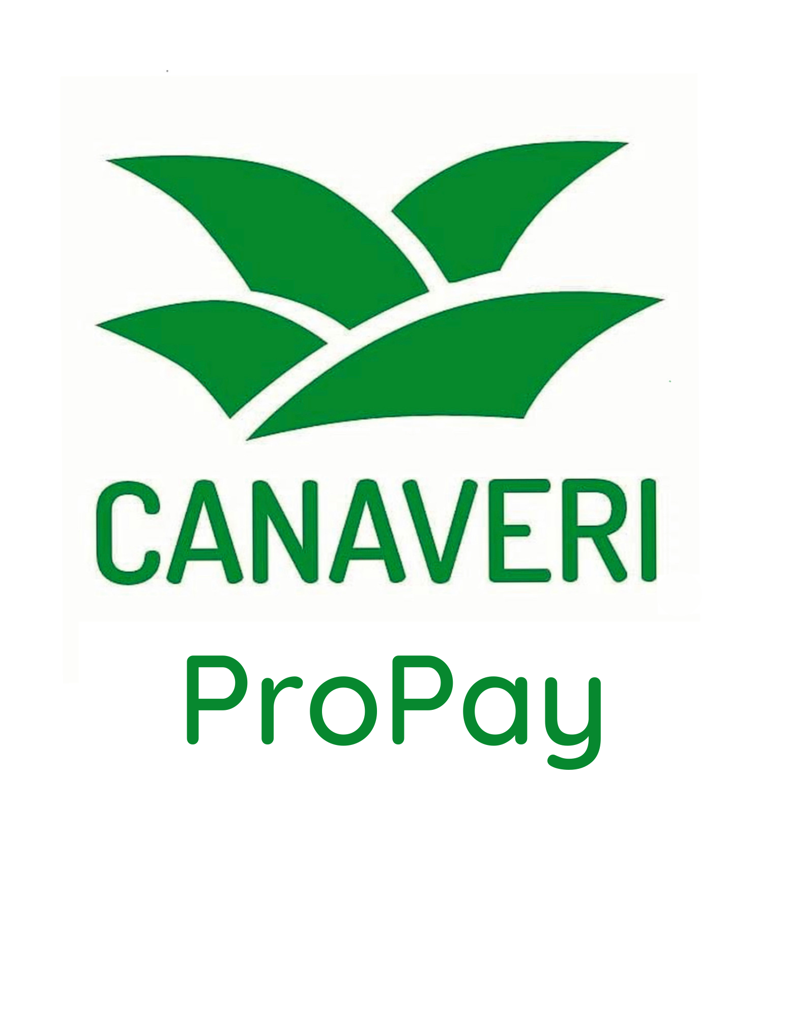 ProPay Review 2023