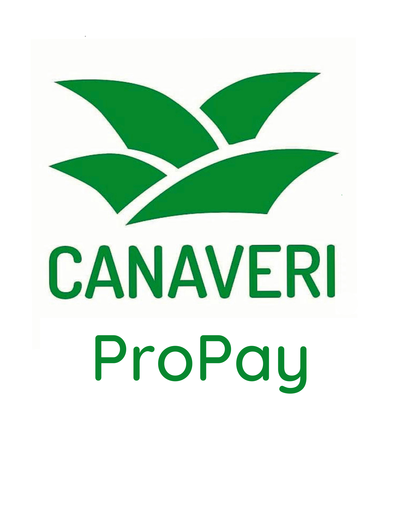 ProPay.co is for sale at !